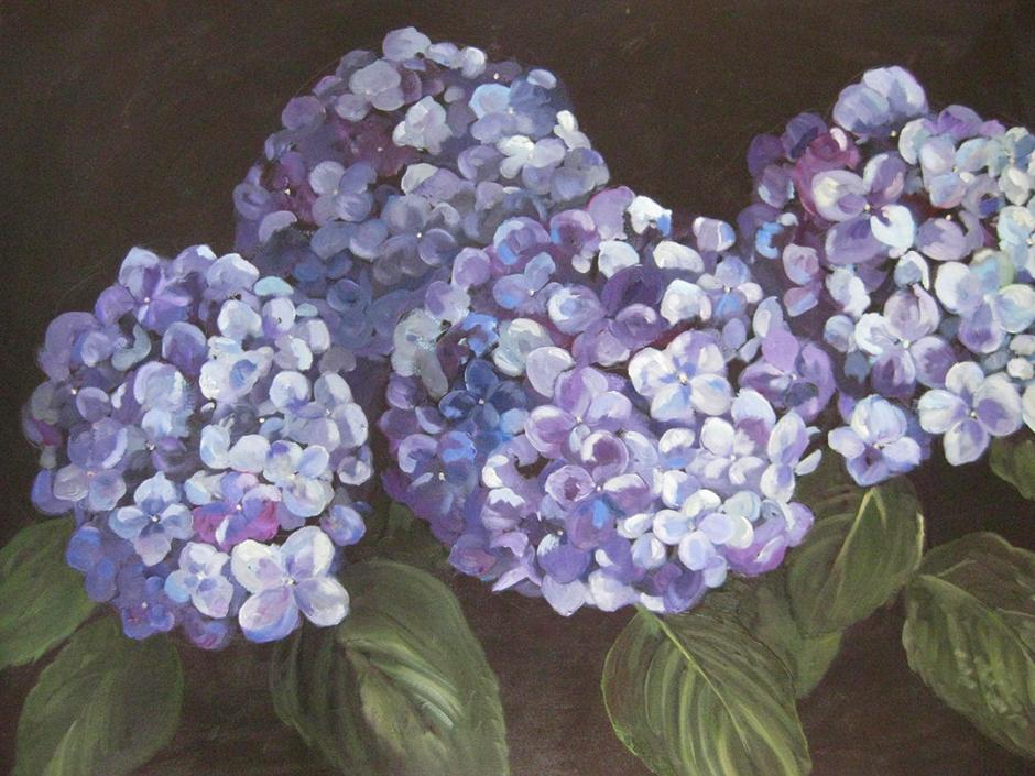 Hydrangea II