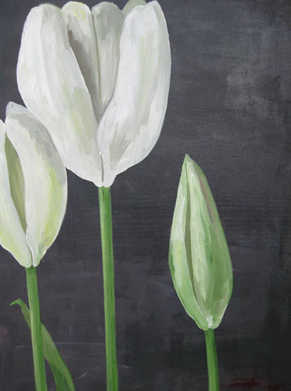 White Tulips