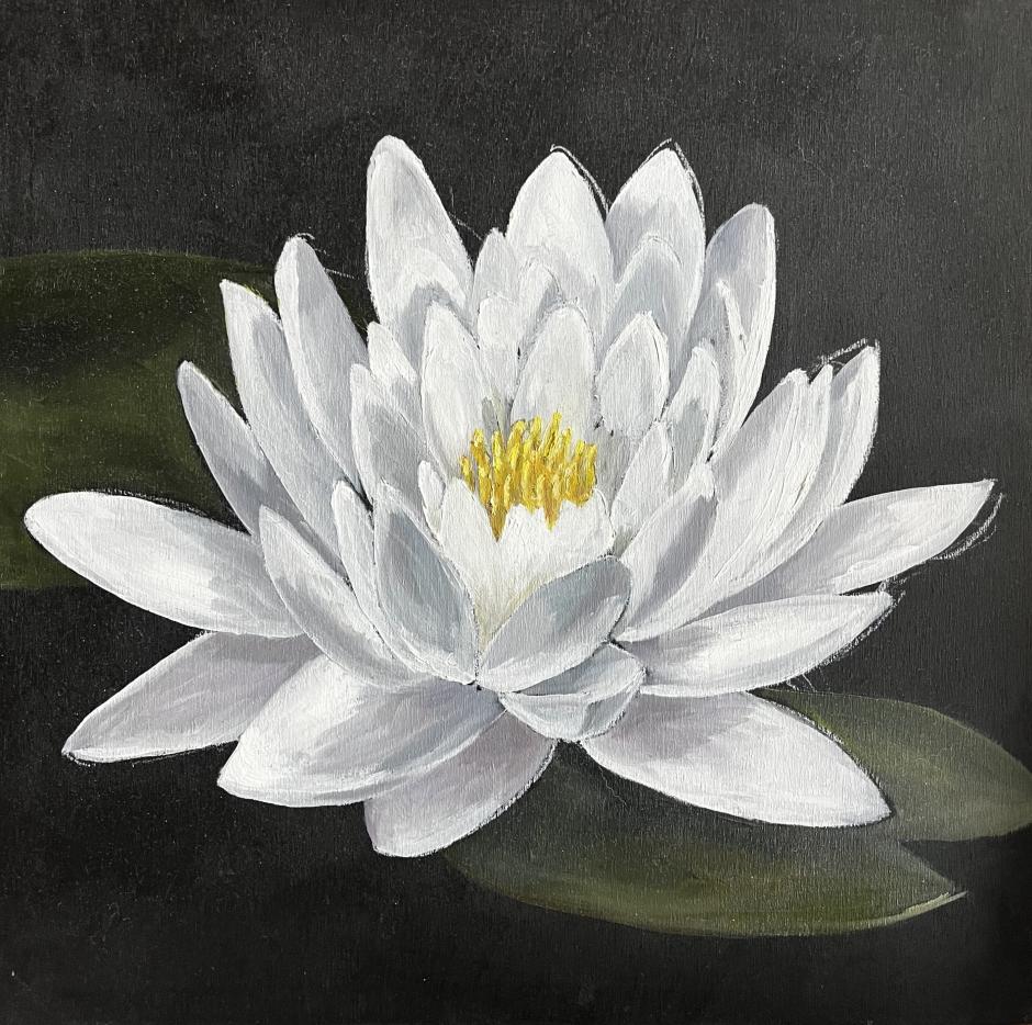 White Lotus