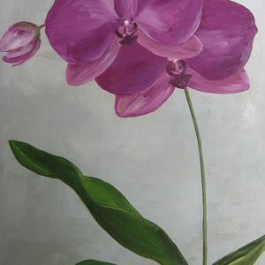 Greenish Purple