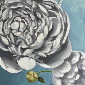Peony on Blue