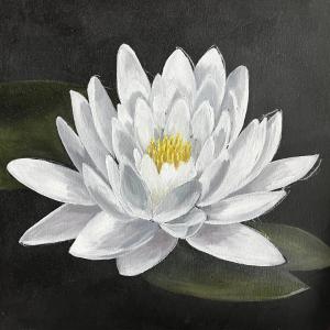 White Lotus